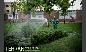 بوستان سیمرغ 11