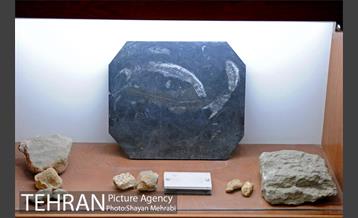 موزه طبیعت و حیات وحش دارآباد تهران 39