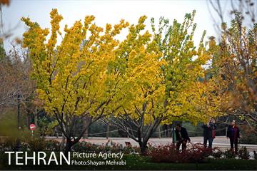 باغ گیاه‌شناسی ملی ایران 29