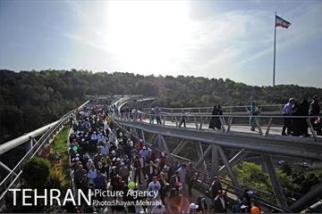همایش پیاده روی خانوادگی کارکنان شهرداری 16
