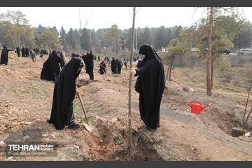 غرس ۲۷۸۲ نهال در سرخه‌حصار به یاد درگذشتگان جامعه پزشکی 5