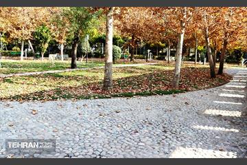 گذر پاییزی بوستان رازی 12