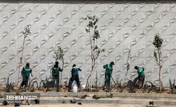 به وقت خدمت؛ بزرگراه شهید بروجردی 12