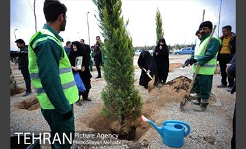 آیین کاشت درخت ایثار و امنیت 35