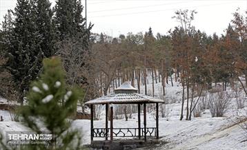 روز برفی در منطقه 13 23