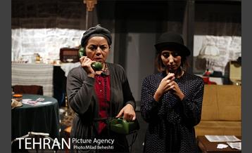 نمایش اثر پرتوهای گاما بر گل های همیشه بهار 3