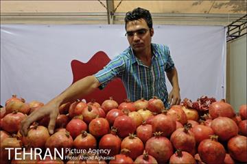 هفتمین جشنواره انار فرهنگسرای اشراق 12