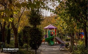 سمفونی رنگ های پاییزی - پارک لاله 27