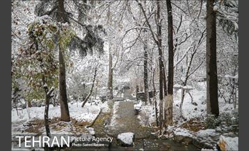 برف زمستانی پارک جمشیدیه 22