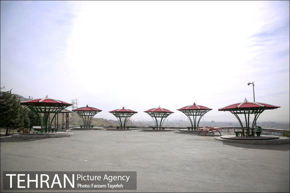 روز طبیعت در بوستان هاى منطقه ٥