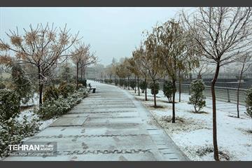 پل طبیعت سپیدپوش شد 6