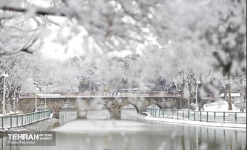 روز برفی تهران - 3 31
