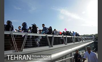 همایش پیاده روی خانوادگی کارکنان شهرداری 22