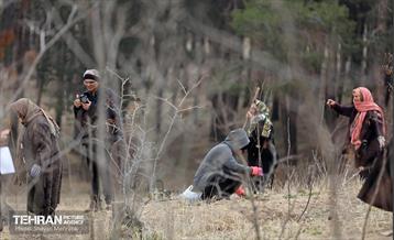 کاشت 2000 نهال مثمر در بوستان جنگلی چیتگر 7