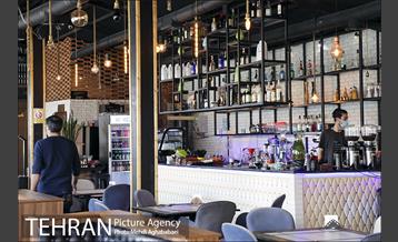 مرکز گل و گیاه ایوار 24