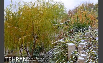 بارش پاییزی برف در ارتفاعات بوستان کوهستانی آبشار تهران‎ 30