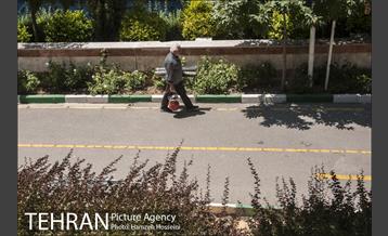 بوستان نهج البلاغه 5