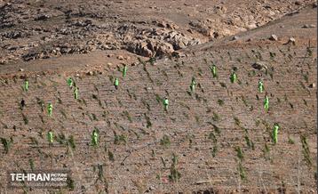 احداث فاز یک کمربند سبز شهر تهران 25