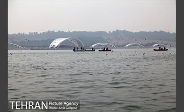 سقوط بالگرد در دریاچه شهدای خلیج فارس