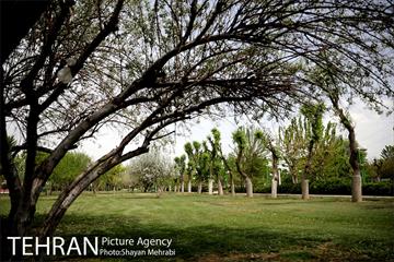 بوستان آزادگان 11