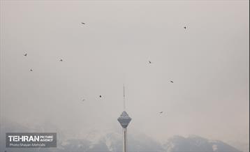 هوای پاک تهران 6