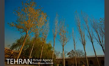 پاییز باغ موزه قصر 14