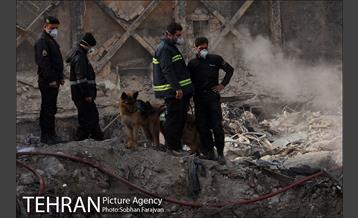 همه قهرمانان آمدند  9