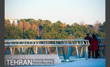 پاییز پل طبیعت 29
