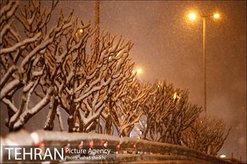 بارش برف در تهران  11
