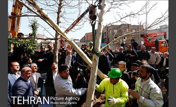مراسم احیای درختان خیابان ولیعصر (عج) 9