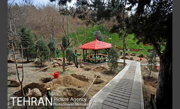 مراسم درختکاری به مناسبت روز مادر 55