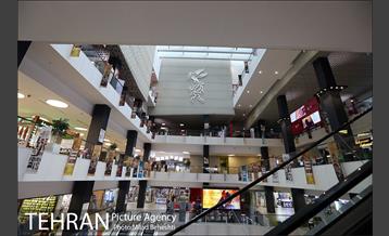 روز هفتم سی و هفتمین جشنواره جهانی فیلم فجر 2