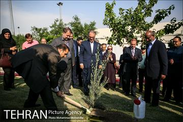 آئین درخت کاری به مناسبت تولد گاندی 16