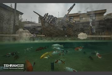 اقیانوس پارک  21