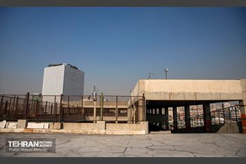 جای خالی پروانه ها 8