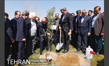 آیین کاشت درخت صلح و دوستی 28