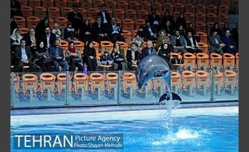 حضور خانواده هاى کارکنان شهردارى تهران در دلفیناریوم برج میلاد به همراه شهردار تهران 9