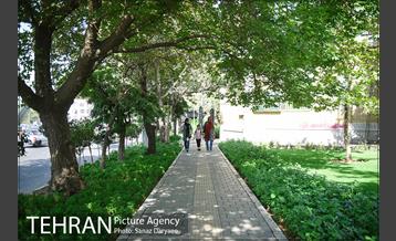 بوستان رسالت 1