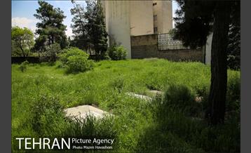 گورستان ده ونک 10