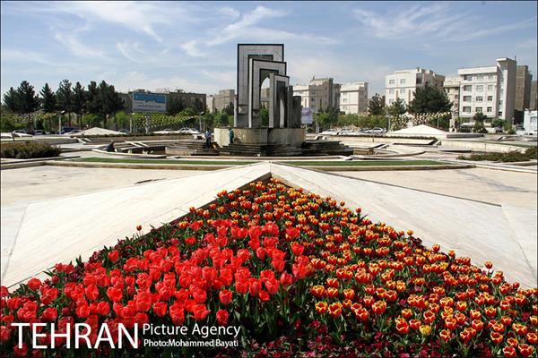 لاله آرایی در منطقه 20