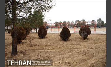 آماده سازی قطعه 50 برای شهدا آتش نشان 11