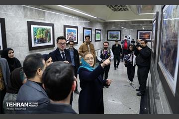 نمایشگاه عکس «رومانی در تصویر» 15