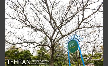 بوستان گفتگو 24