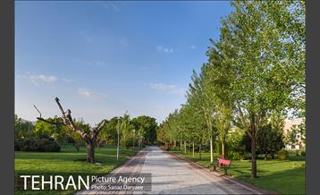 بوستان پلیس 24