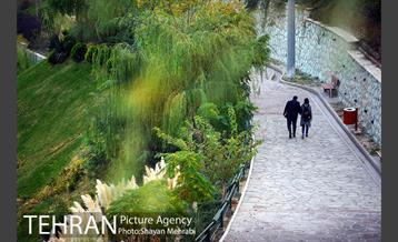 بوستان نهج البلاغه (فاز2) 26