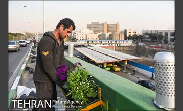 گل آرایی پل سیدخندان 5