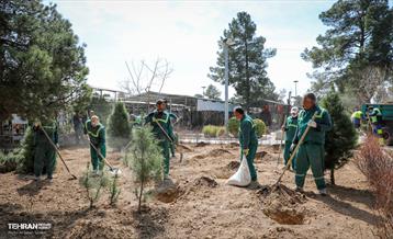 روز درختکاری با حضور مادران شهدا 2
