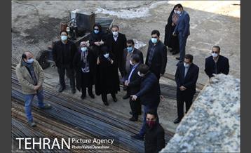 بازدید اعضای شورای شهر از منطقه 17