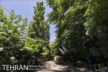 محله گلابدره تهران 14