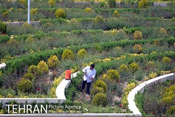 روزهای پایانی پروژه ی مجموعه نمایشگاهی شهر آفتاب 9